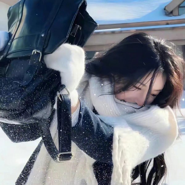 新猛龙过江海报