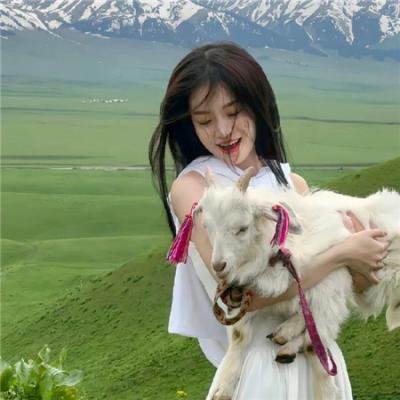 蝙蝠侠:侠影之谜海报